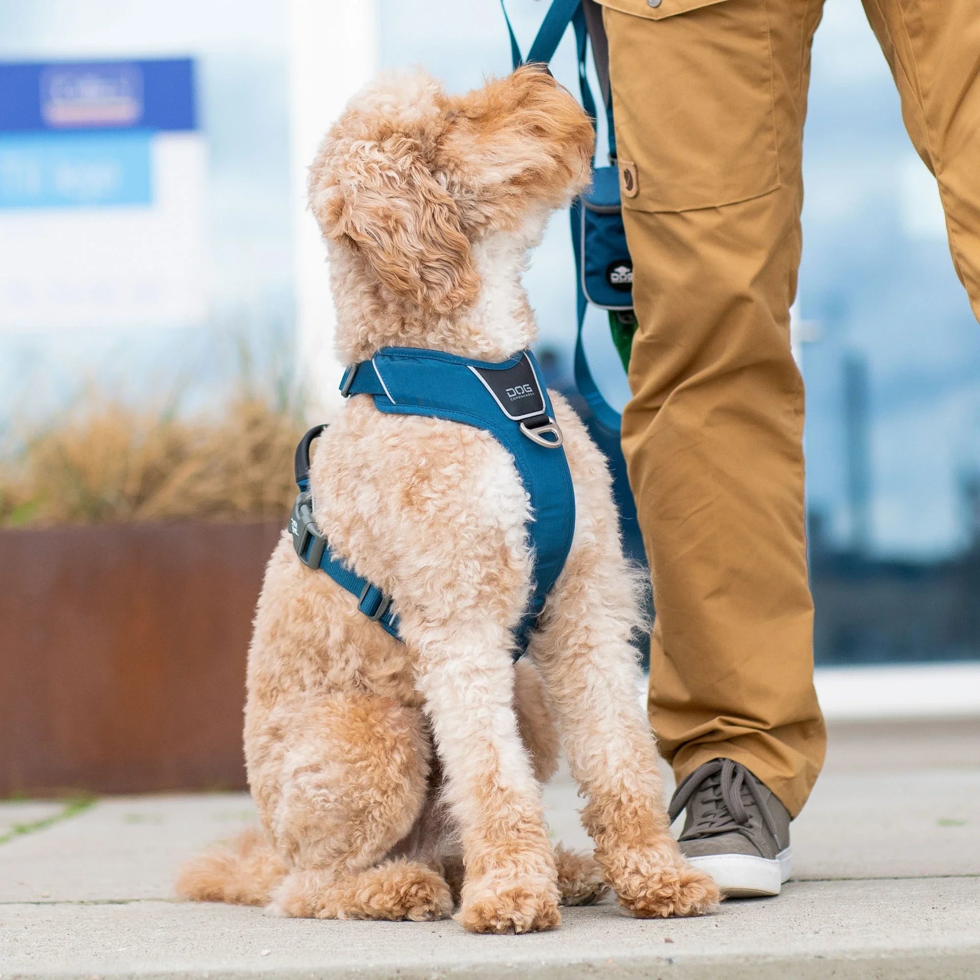 Anmeldelse af Dog Copenhagen hundesele - Ergonomi og kvalitet