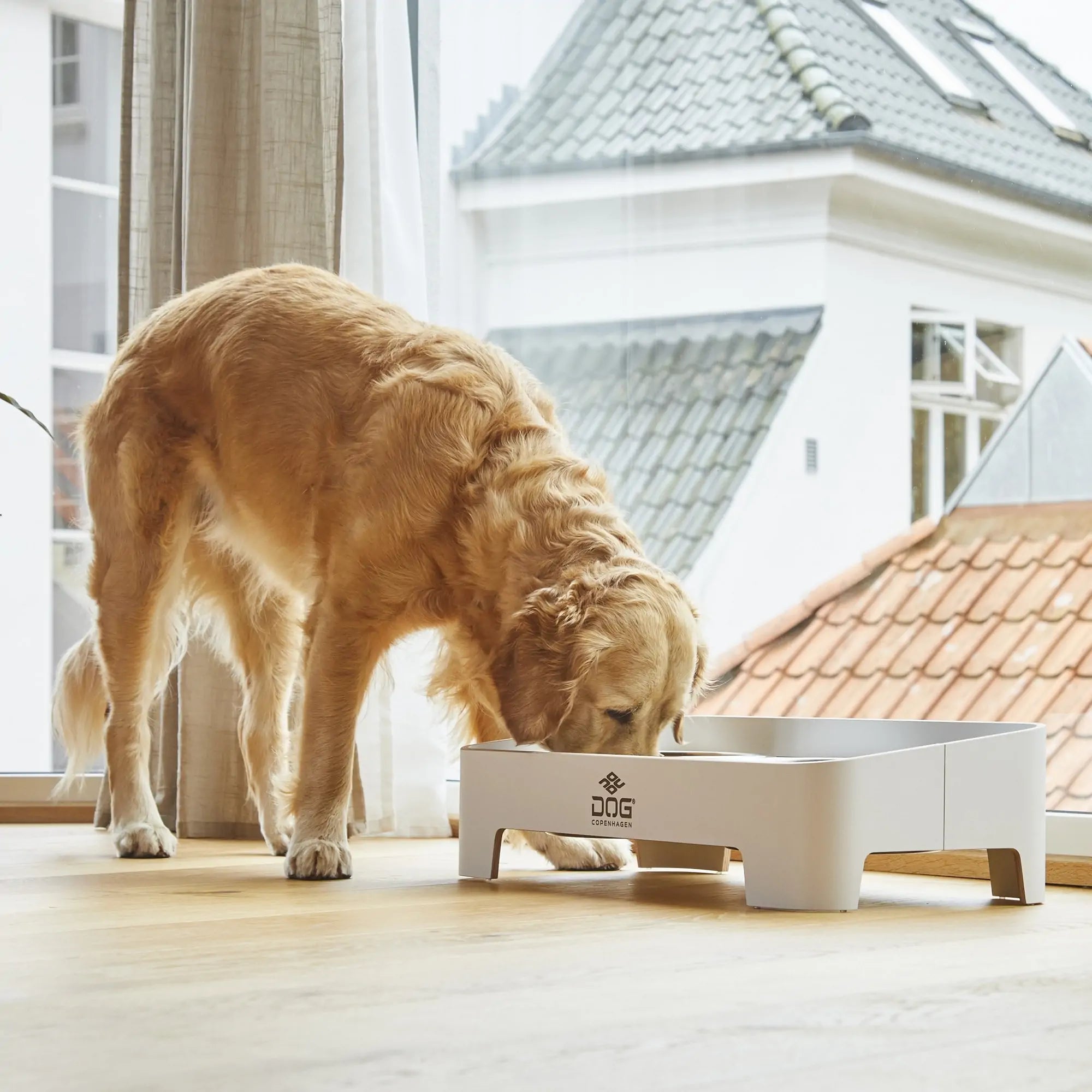 Vælg det rigtige hundemad til din hunds ernæringsbehov