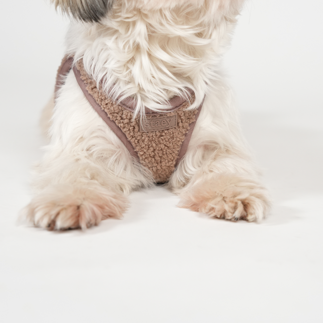 Staey - Teddy Step-in Hundesele, Mocca