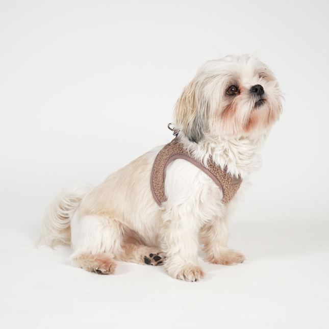 Staey - Teddy Step-in Hundesele, Mocca