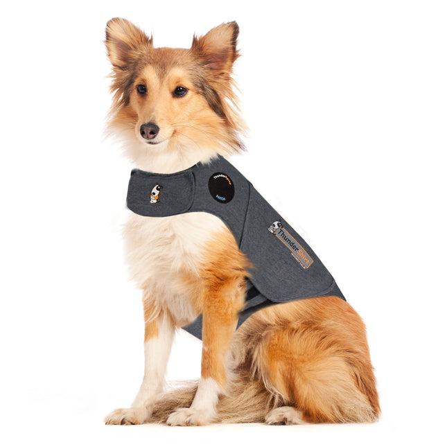 ThunderShirt - Tryghedsskabende jakke