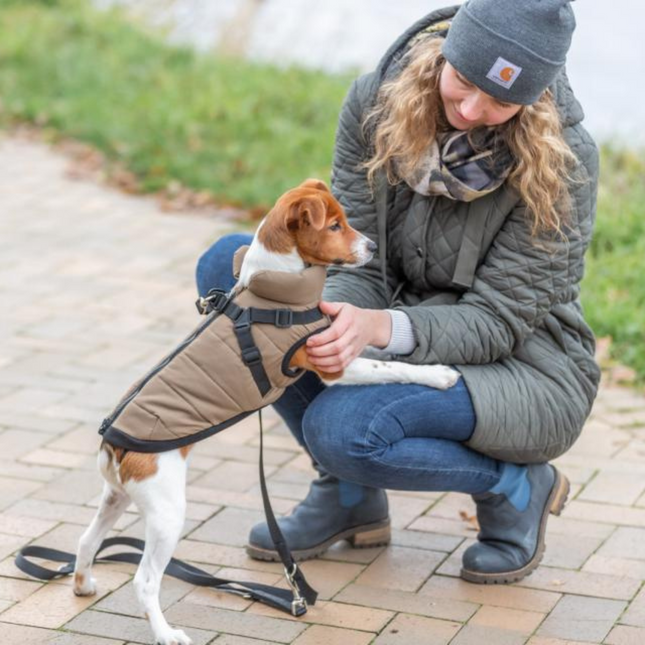 Pirou vinterjakke med hundesele