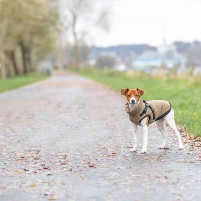 Pirou vinterjakke med hundesele