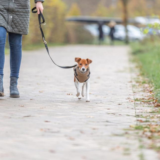 Pirou vinterjakke med hundesele