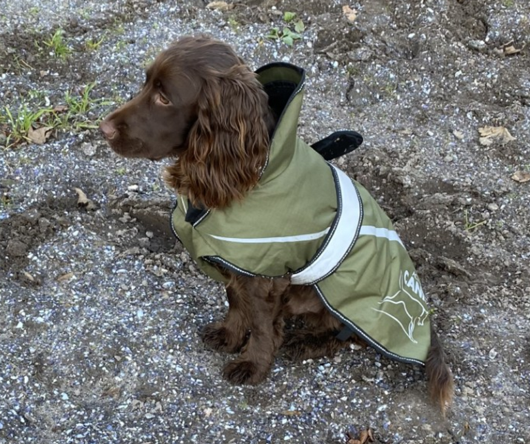 Active Canis - 2-i-1 Hundejakke, khaki