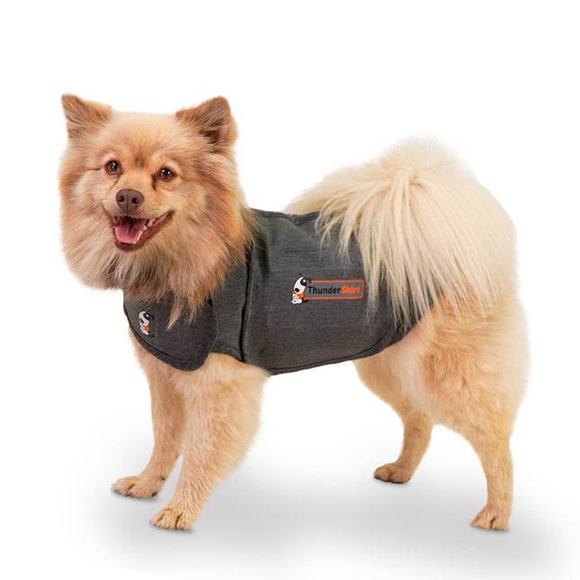 ThunderShirt - Tryghedsskabende jakke