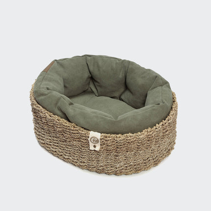 Cloud7 hundeseng, Lazy Canvas Olive