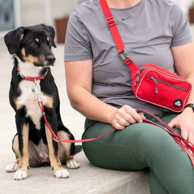 Dog Copenhagen - Go Explore™ Bæltetaske, Classic Red