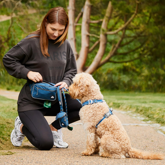 Dog Copenhagen - Go Explore™ Bæltetaske, Ocean Blue