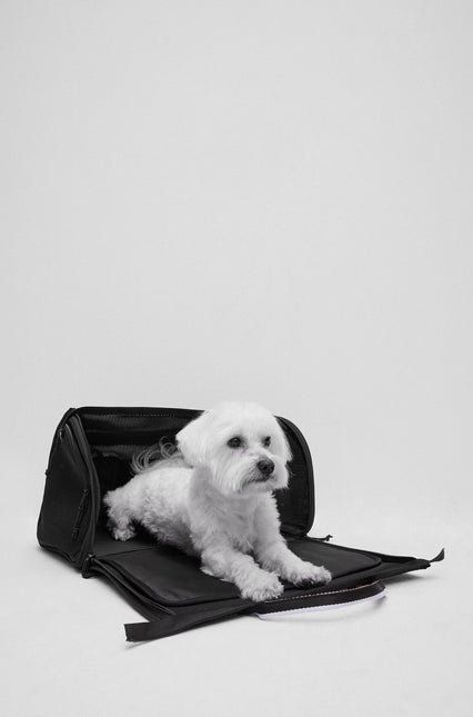 Hugo Boss Hundetaske