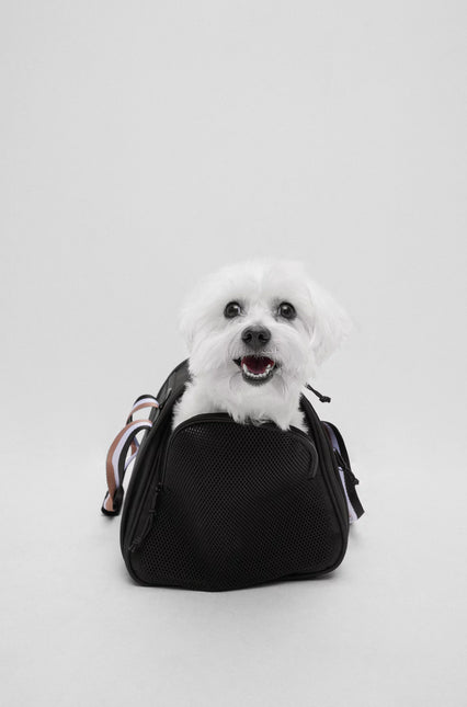 Hugo Boss Hundetaske