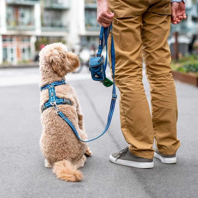 Dog Copenhagen Urban Freestyle™ hundesnor Ocean Blue