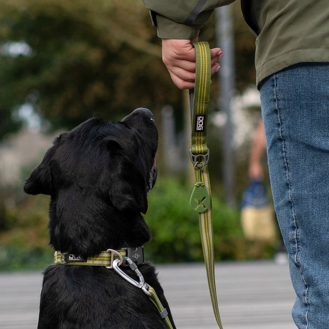 Dog Copenhagen Urban Style™ Halsbånd - Hunting Green