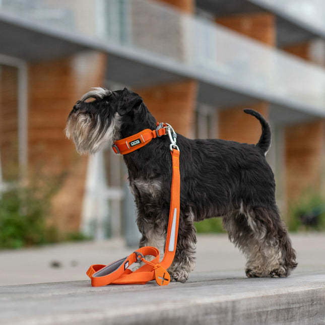 Dog Copenhagen Urban Trail™ hundesnor Orange Sun