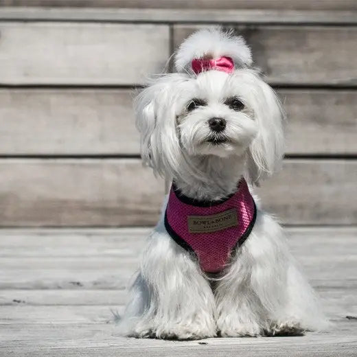 Bowl & Bone hundesele Candy pink Bowl & Bone