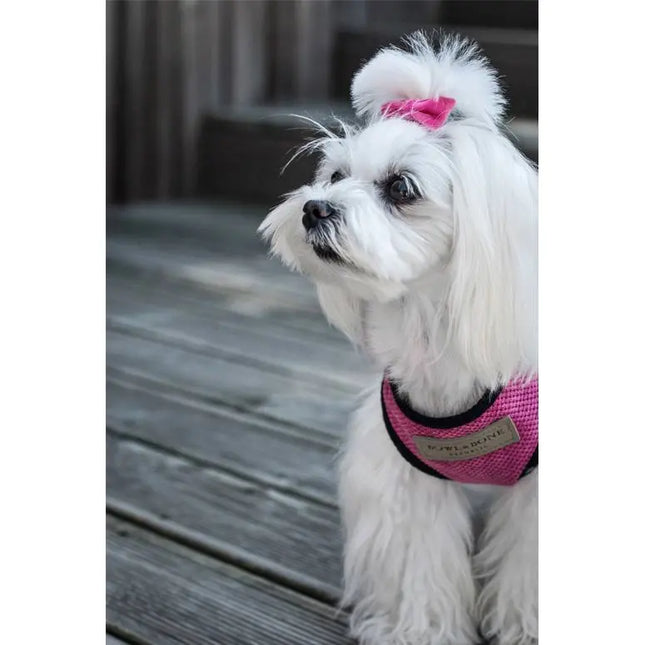 Bowl & Bone hundesele Candy pink Bowl & Bone