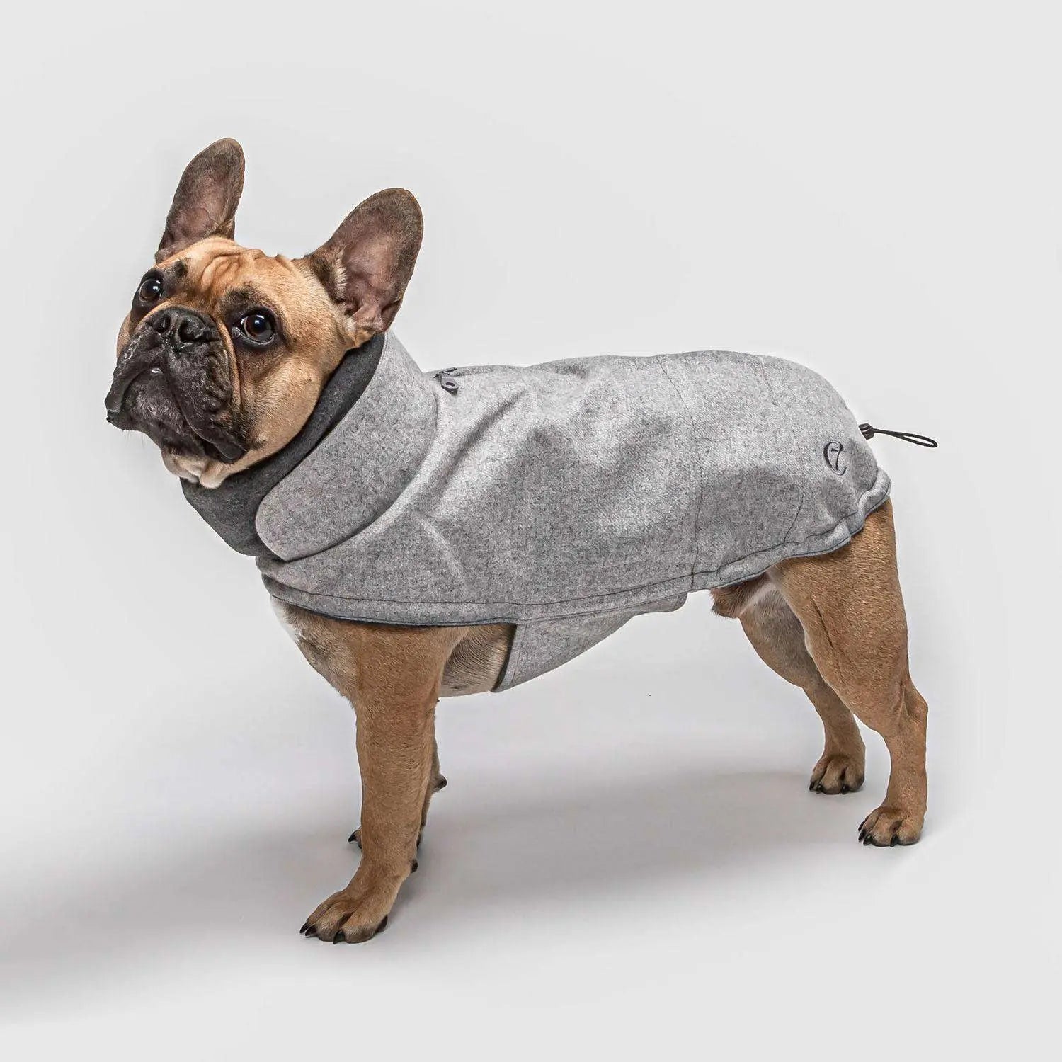 Tak Hver uge Forpustet Cloud7 hundefrakke til Fransk Bulldog, Brooklyn, Grå – Luksushund