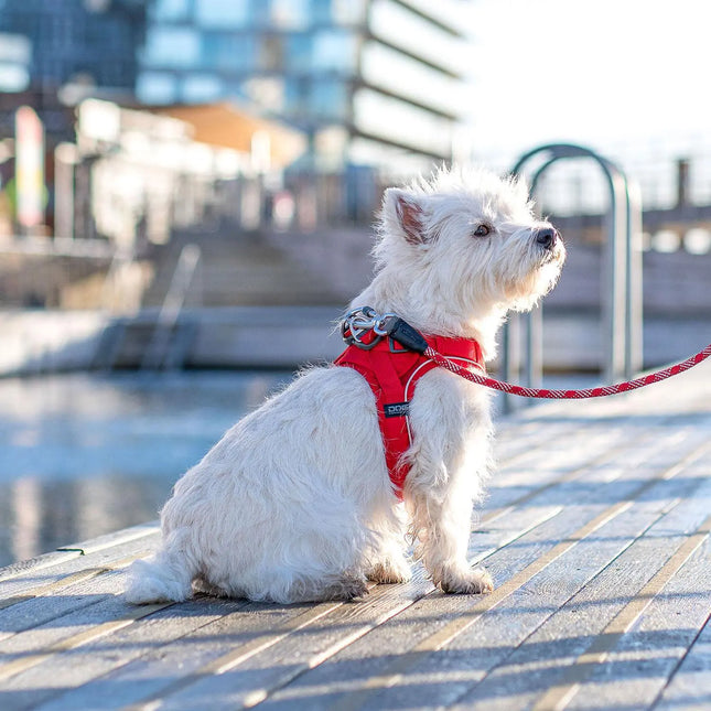 Dog Copenhagen Comfort Walk Go hundesele Ocean Blue Dog Copenhagen