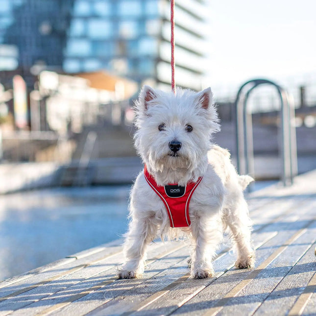 Dog Copenhagen Comfort Walk Go hundesele Ocean Blue Dog Copenhagen