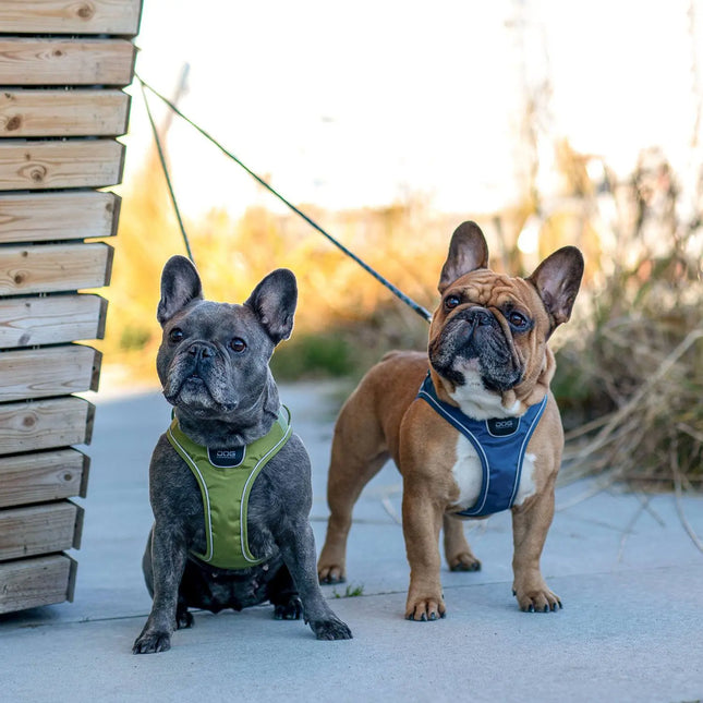 Dog Copenhagen Comfort Walk Go hundesele Ocean Blue Dog Copenhagen