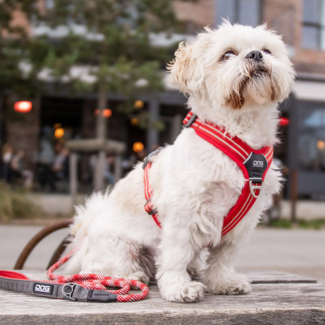 Dog Copenhagen Walk Air hundesele Classic Red Dog Copenhagen