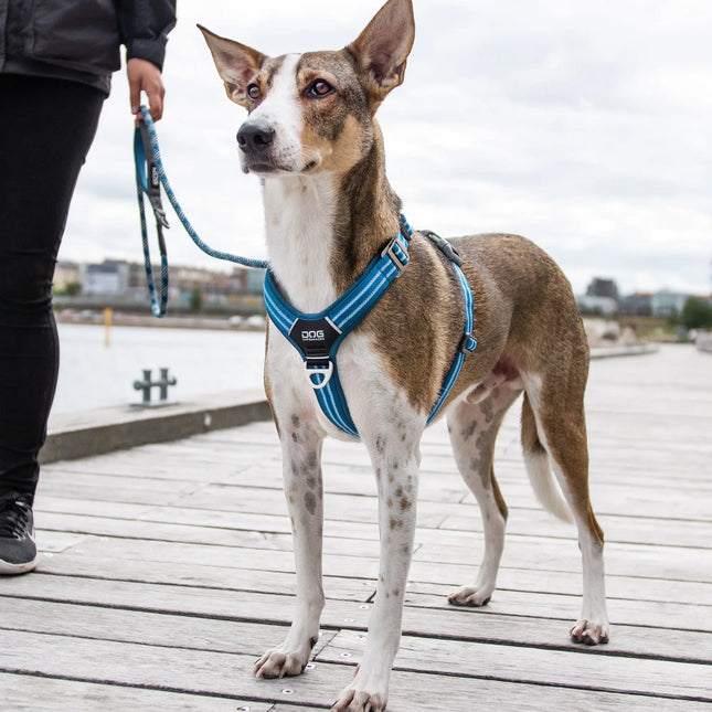 Dog Copenhagen Walk Air hundesele Sort Dog Copenhagen