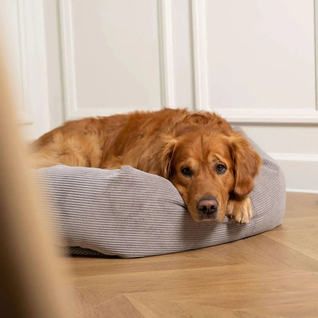 Staey Hundeseng Luna - Mørkegrå Staey