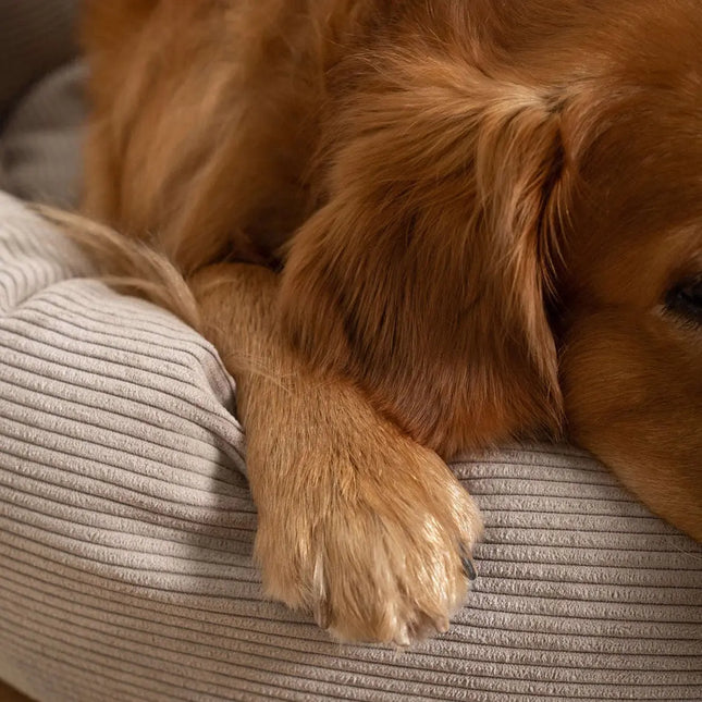 Staey Hundeseng Luna - Natur Staey